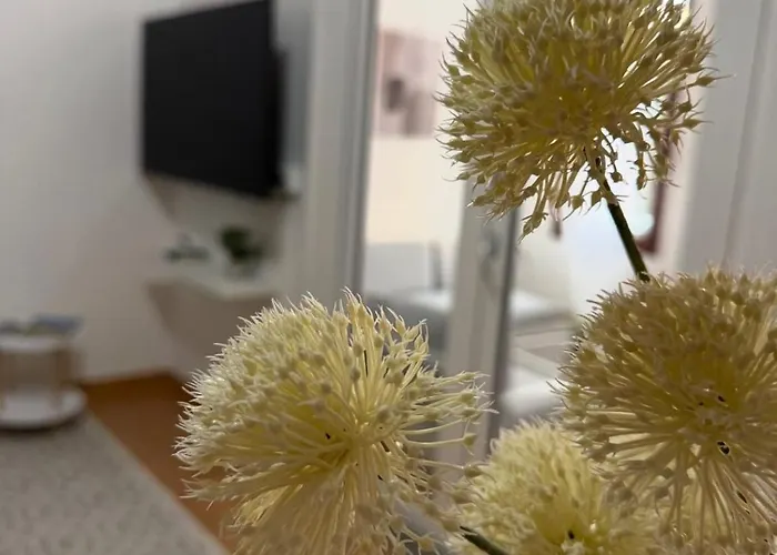 Eloise - Brand New Opening Olbia